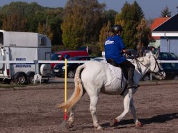 IMG_7200_web
